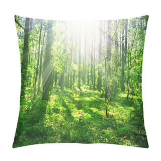 Personality  Misty Old Forest Pillow Covers