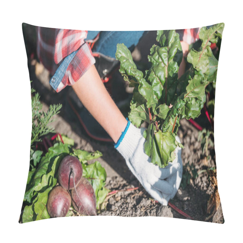 Personality  Farmer Harvesting Beets Pillow Covers
