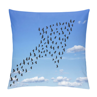 Personality  The Sky Is The Limit Pillow Covers