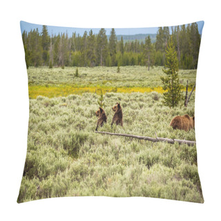 Personality  Grizzly Bear In Yellowstone National Park, Wyoming, USA Pillow Covers