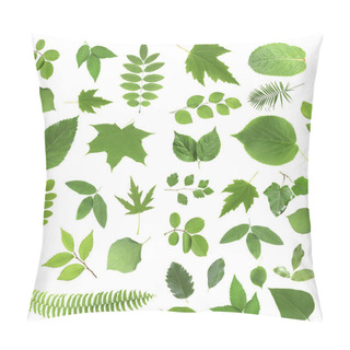 Personality  Green Leaves Isolated On White Pillow Covers