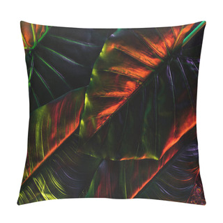 Personality  Full Frame Image Of Beautiful Palm Leaves With Red Lighting  Pillow Covers