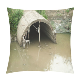 Personality  Sewage Water Pollution  Pillow Covers