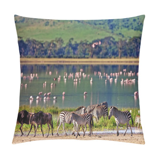Personality  Zebras And A Wildebeest Walking Beside The Lake In The Ngorongoro Crater, Tanzania, Flamingos In The Background Pillow Covers