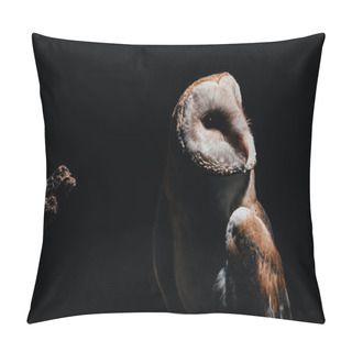Personality  Cute Wild Barn Owl On Wooden Branch In Dark Isolated On Black Pillow Covers