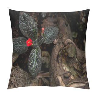 Personality  Floral Pillow Covers