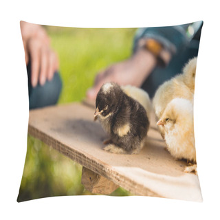 Personality  Cropped Image Of Farmers Holding Wooden Board With Adorable Baby Chicks Outdoors  Pillow Covers