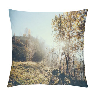 Personality  Beautiful Foggy Landscape In Carpathians, Ukraine Pillow Covers