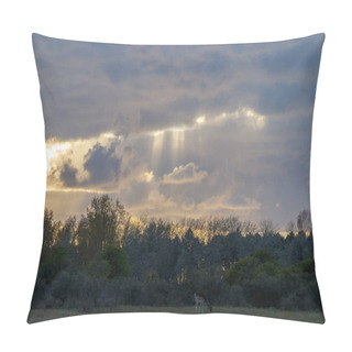 Personality  Dark Clouds And Some Sun Rays  Pillow Covers