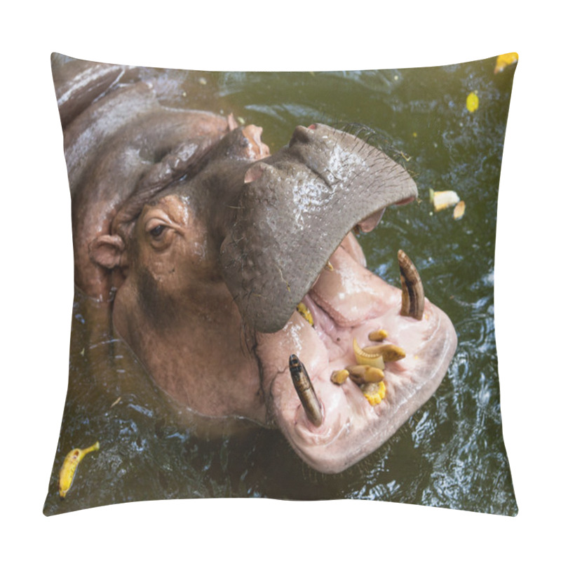 Personality  Hippopotamus pillow covers