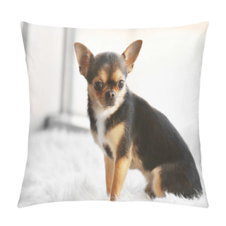 Personality  Cute Funny Dog  Pillow Covers