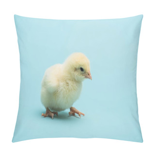 Personality  Cute Small Chick On Blue Background Pillow Covers