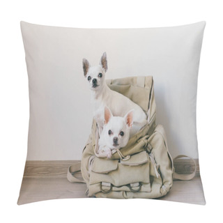 Personality  Two Chihuahua Puppies Sitting In Pocket Of Hipster Canvas Backpack With Funny Faces And Looking Different Ways. Dogs Travel. Comfortable Relax. Pets On Vacation. Animals Family Lying Together At Home. Pillow Covers