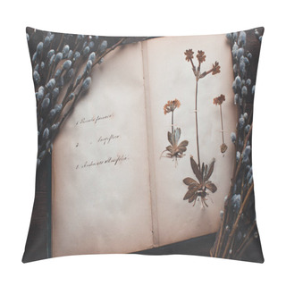 Personality  Retro Background, Old Book With Herbarium And Willow Branches Pillow Covers