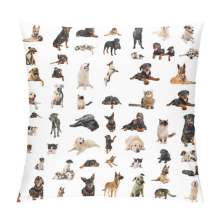 Personality  Dogs, Puppies And Cats Pillow Covers