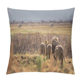 Personality  Lions Group In Wild Nature Pillow Covers