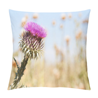 Personality  Milk Thistle Flower Pillow Covers