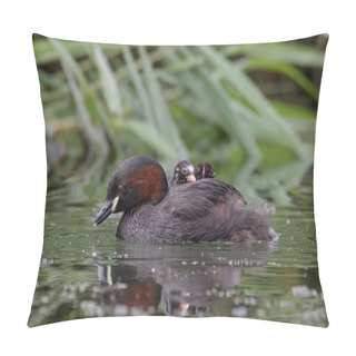 Personality  Little Grebe With Young Pillow Covers