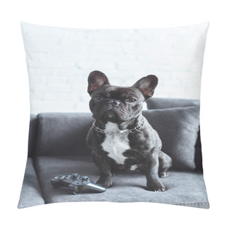 Personality  Black Frenchie Sitting On Sofa By Joystick Pillow Covers