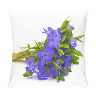 Personality  Periwinkle Flower Isolated Pillow Covers