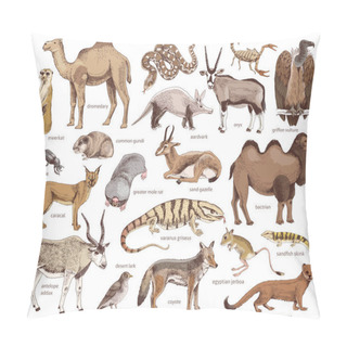Personality  Hand Drawn Collection Of Desert Animals Pillow Covers