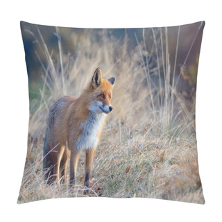Personality  Fox In The Wildlife Pillow Covers