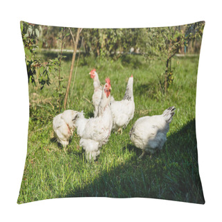 Personality  Flock Of Adorable White Chickens Walking On Grassy Meadow At Farm Pillow Covers