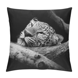 Personality  Close Up Sleepy Leopard Portrait Pillow Covers