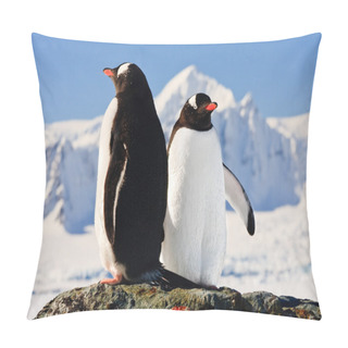 Personality  Two Penguins Dreaming Pillow Covers