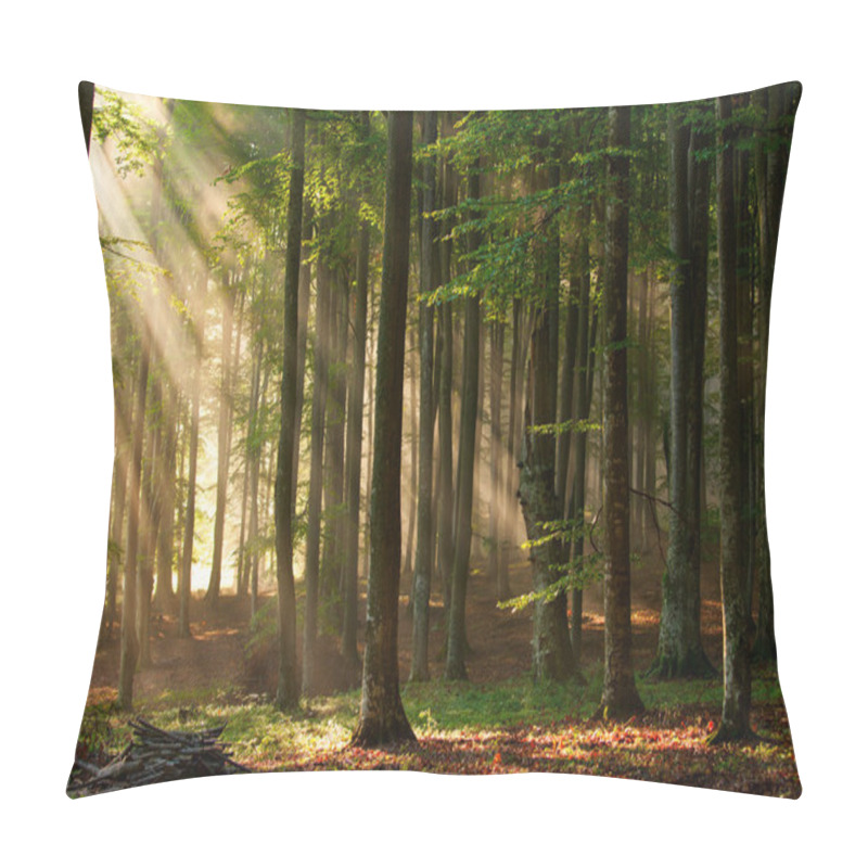 Personality  Autumn Forest Trees. Nature Green Wood Sunlight Backgrounds. Pillow Covers