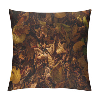 Personality  Top View Of Yellow And Dry Leaves In Autumnal Park At Day  Pillow Covers