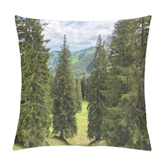 Personality  Evergreen Or Coniferous Forests In The Valley Of Wagital Or Waegital And By The Alpine Lake Wagitalersee (Waegitalersee), Innerthal - Canton Of Schwyz, Switzerland Pillow Covers