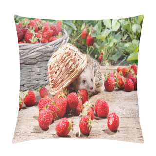 Personality  A Curious Hedgehog Turned Over The Basket Of Strawberries On A Wooden Walkway. On Background Full Basket And Bushes Of Strawberries Pillow Covers