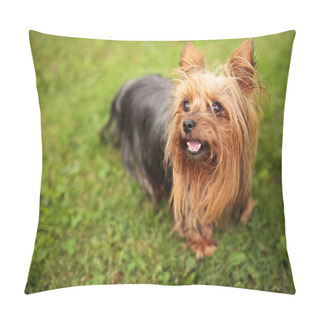 Personality  Happy Little Yorkshire Terrier Puppy Dog Panting  Pillow Covers