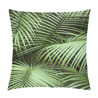 Personality  Tropical Plant. Pillow Covers