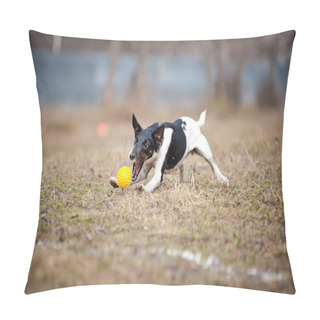 Personality  Fox Terrier Dog Playing With A Toy Ball Pillow Covers
