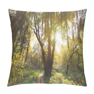 Personality  Willow Tree In Park Pillow Covers