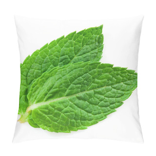 Personality  Fresh Mint Pillow Covers