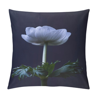 Personality  White Anemone Flower With Green Leaves Isolated On Black Pillow Covers