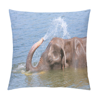 Personality  Elephant Plays Water Pillow Covers