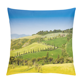 Personality  Winding Road Flanked With Cypresses In Crete Senesi Tuscany Pillow Covers