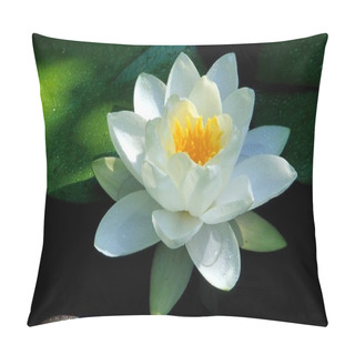 Personality  Water Lily Flower Petals, Aquatic Plant Pillow Covers