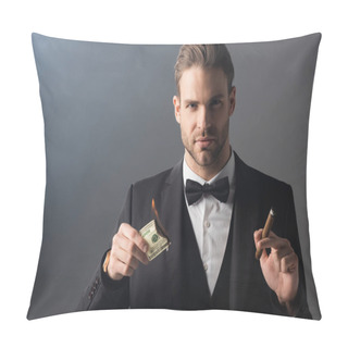 Personality  Wealthy Businessman Holding Cigar And Burning Dollar Banknote On Grey Background With Smoke Pillow Covers