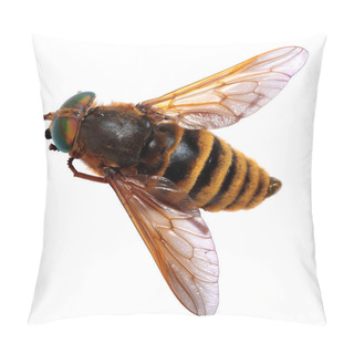 Personality  Gadfly Against  Isolated On White Background Pillow Covers