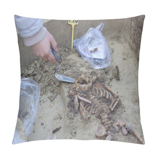 Personality  Archaeologically Sites Pillow Covers
