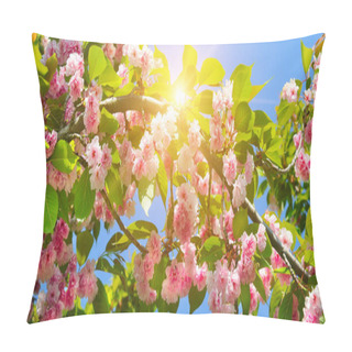 Personality  Spring Flowers. Beautifully Blossoming Tree Cherry Branch. Wide Photo . Pillow Covers