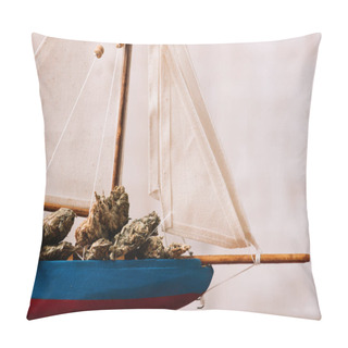 Personality  Close Up View Of Decorative Ship With Dried Plant Lumps Pillow Covers