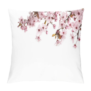 Personality  Sakura Tree Branch With Beautiful Pink Blossoms Isolated On White Pillow Covers