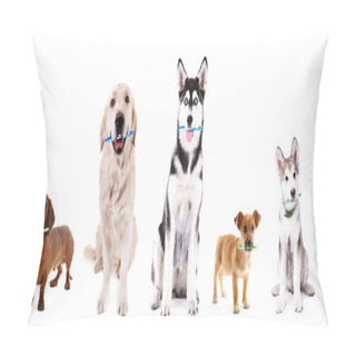 Personality  Cute Dogs With Tooth Brushes Pillow Covers