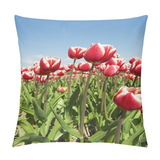 Personality  Dutch Tulips Pillow Covers